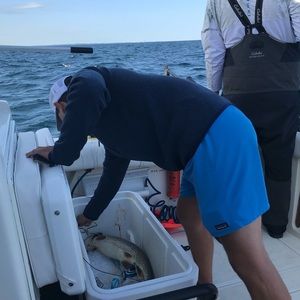 Meet your Posher, Jacob